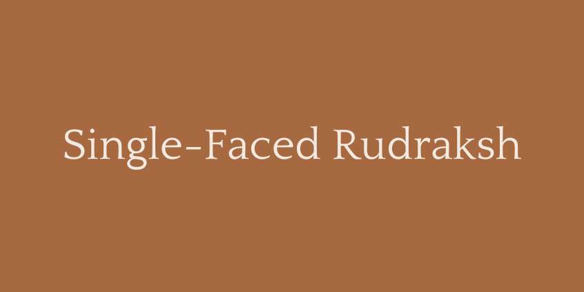 Single-Faced Rudraksh (1 Mukhi Rudraksha)
